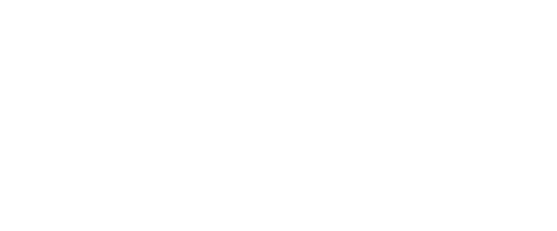 NAILCESSITY-SPA-LLC-MI-49418-LOGO deluxe-nails-spa-katy-tx-77449